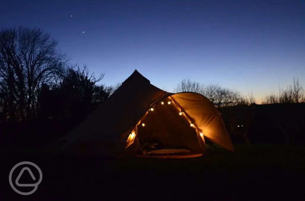 Bell tents at night