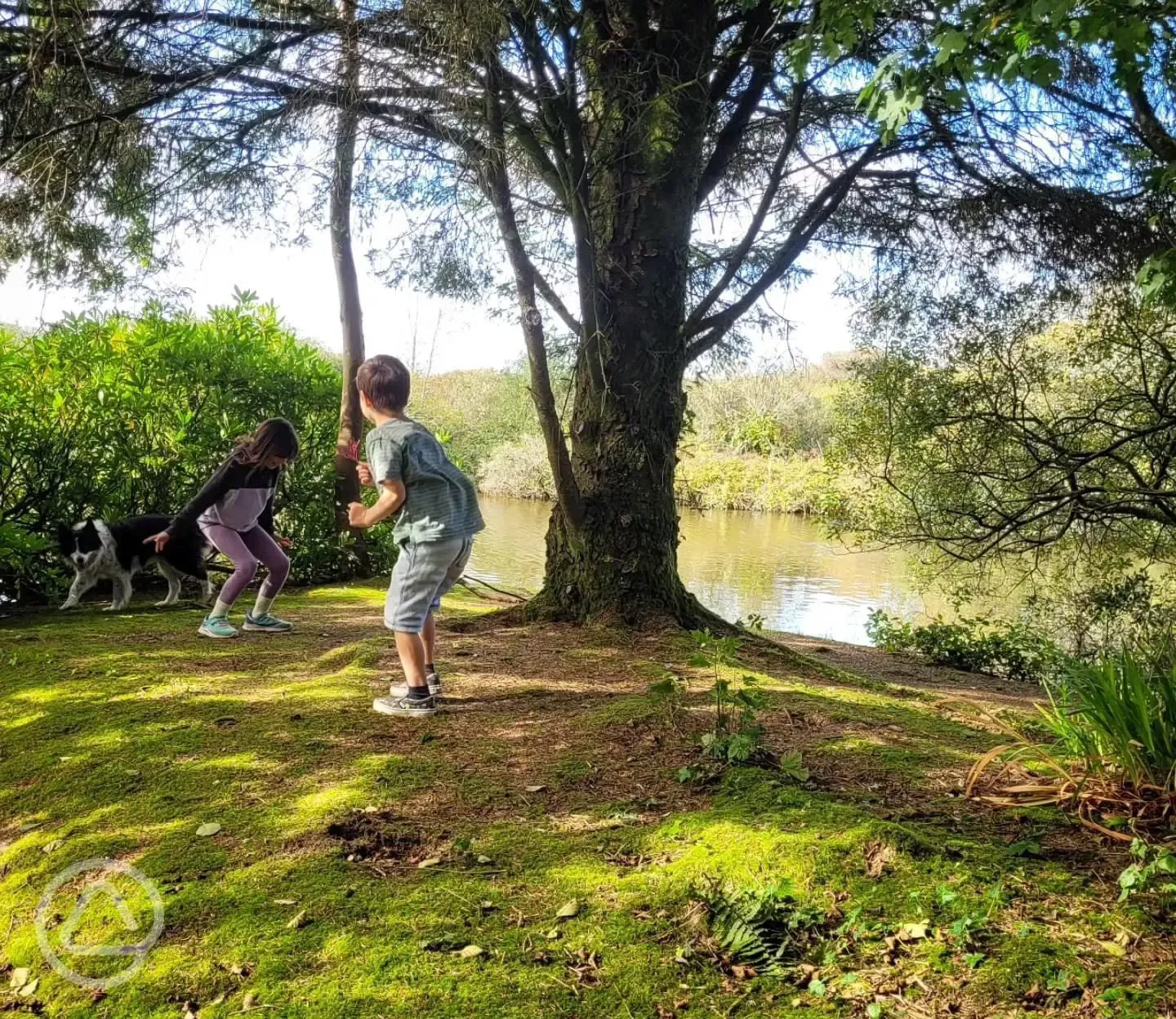 Kids playing around the lake