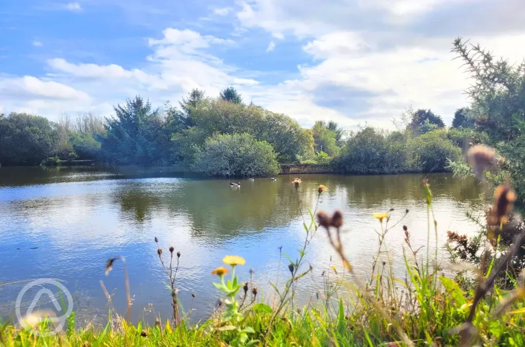 Views over the lake