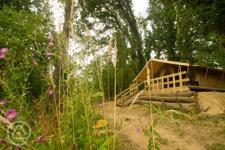 Safari tent
