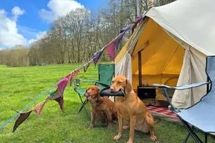 Newhouse Farm Wild Camping , East Dean, Chichester, West Sussex