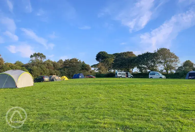 Non electric grass tent pitches