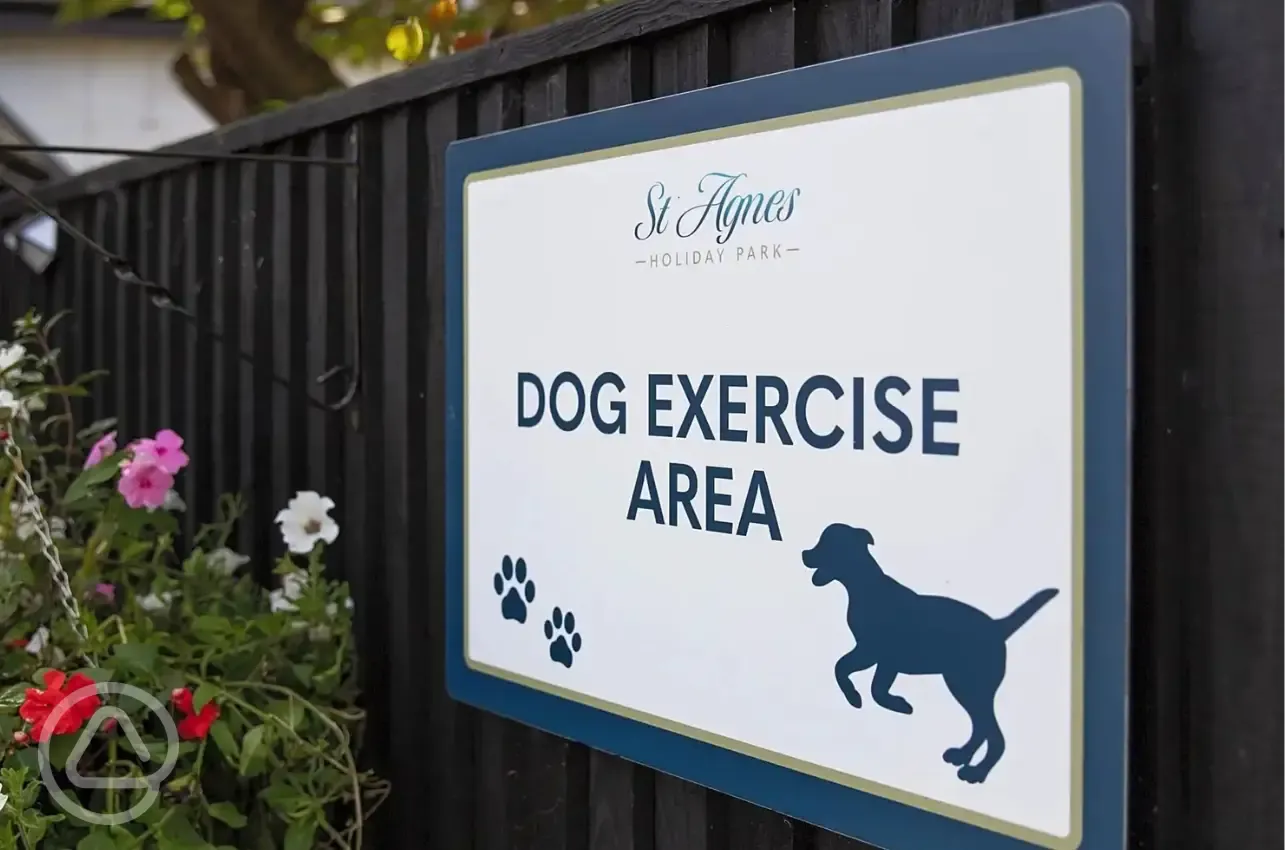 Dog exercise area