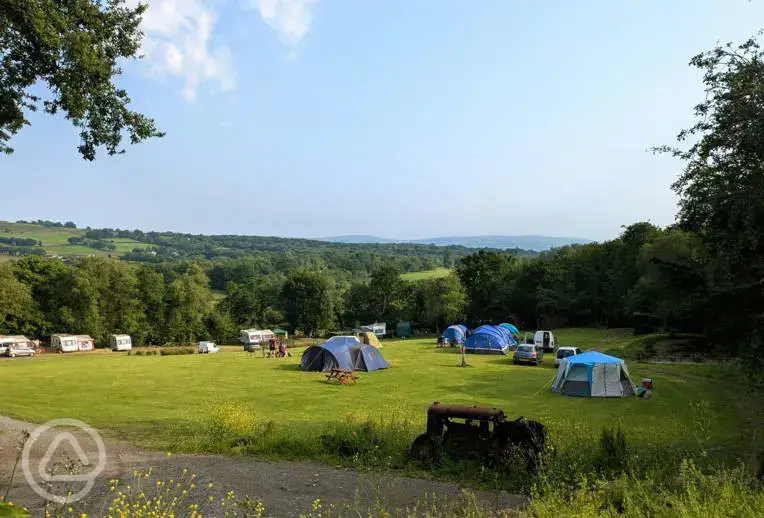 Camping field at Llandyfan Camping