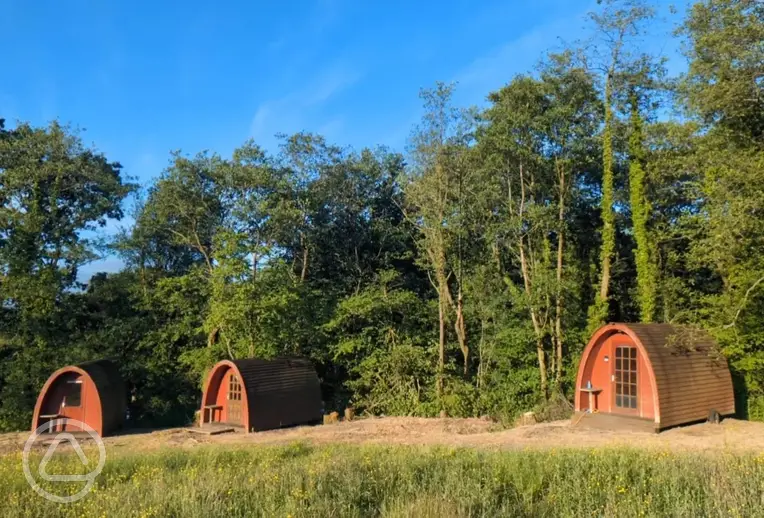 Camping pods surrounded by trees