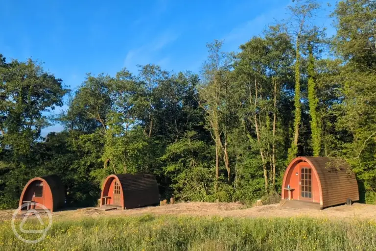 Camping pods surrounded by trees