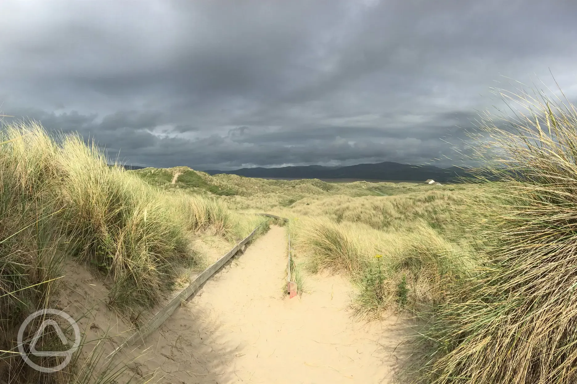 Ynyslas dunes