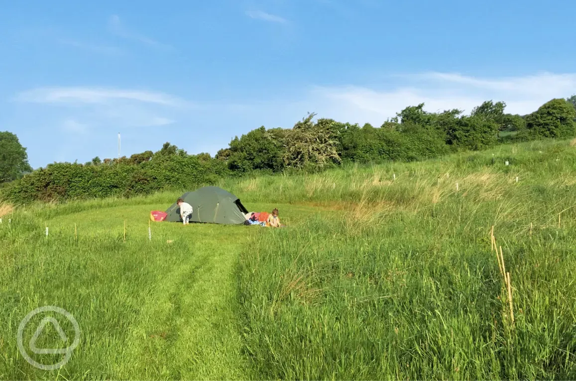 Non electric grass tent pitches