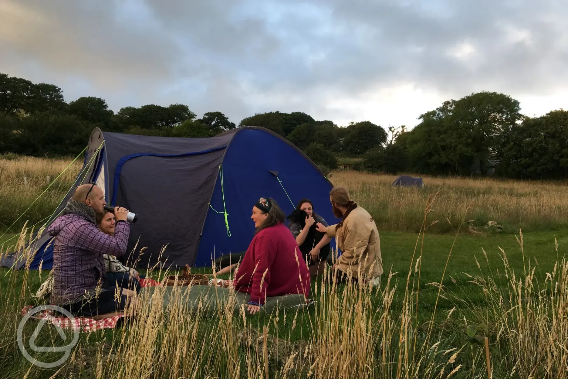 Non electric grass tent pitches in the evening