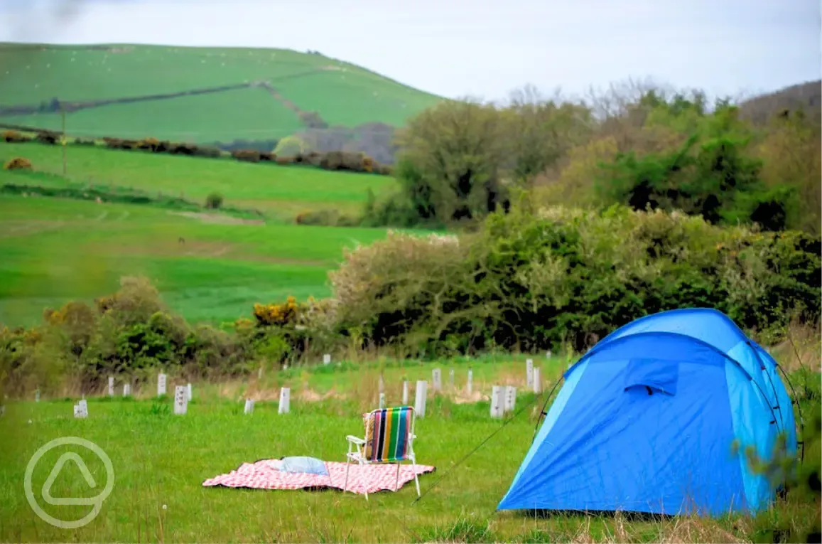 Non electric grass tent pitches