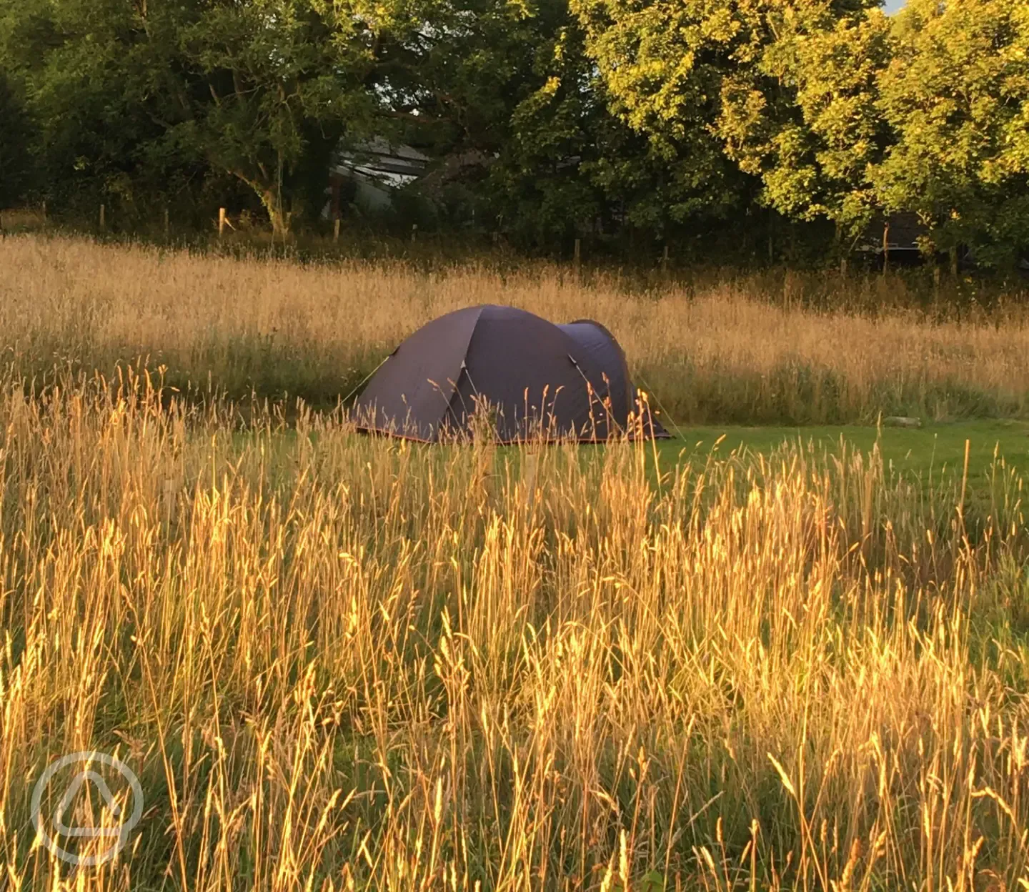 Non electric grass tent pitches