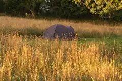 Non electric grass tent pitches