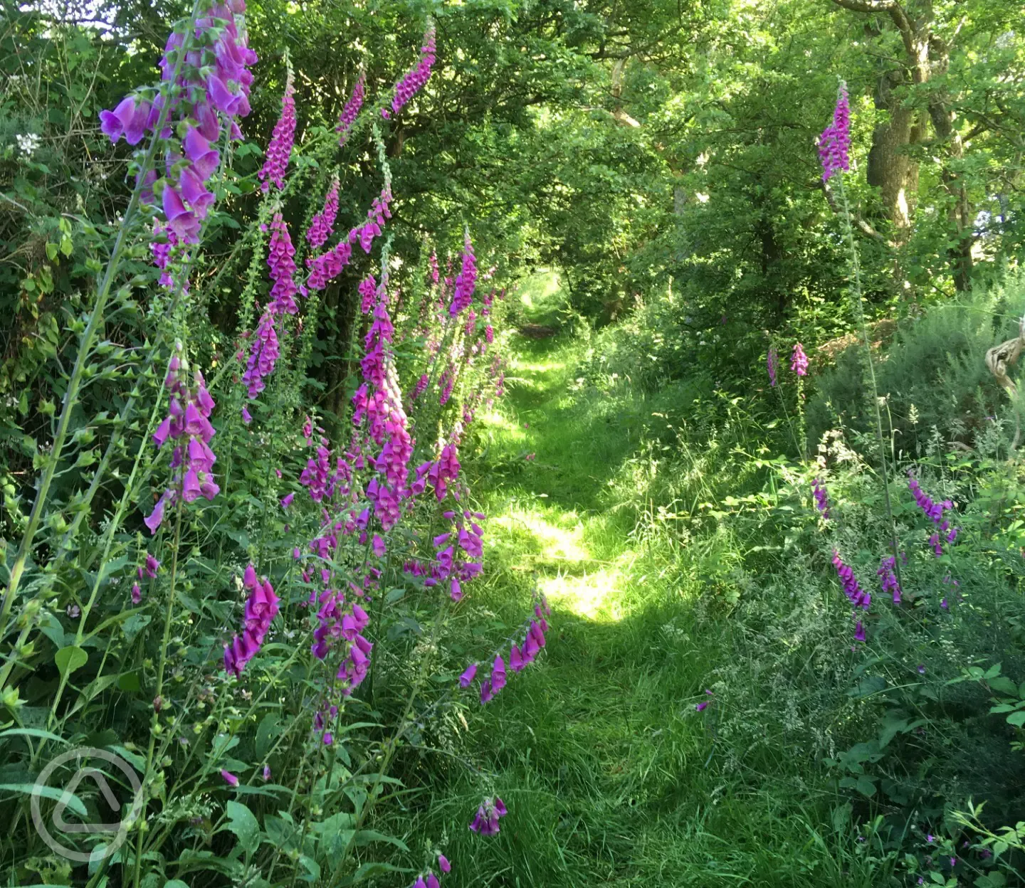 Countryside walks nearby