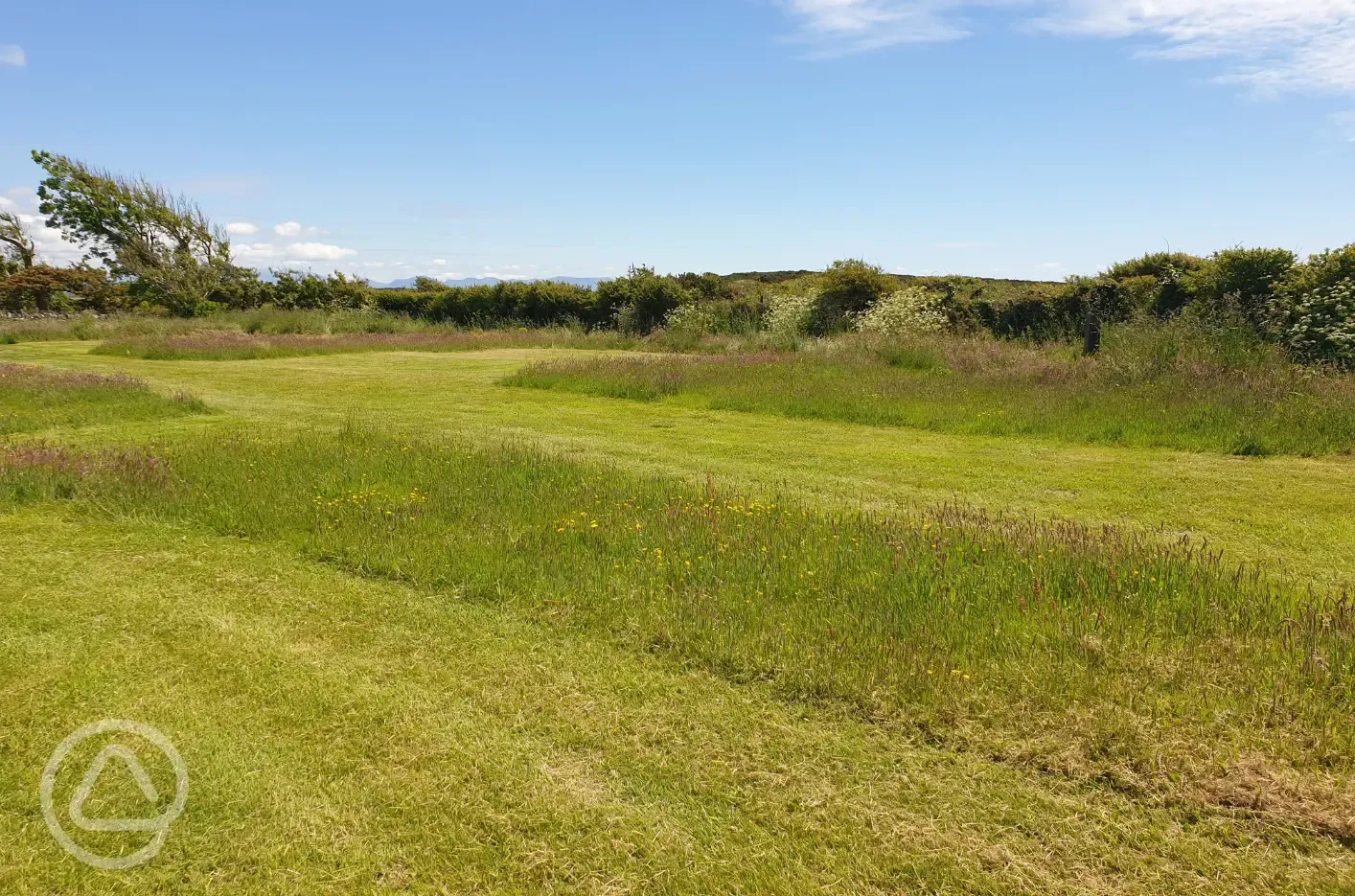 Non electric grass tent pitches