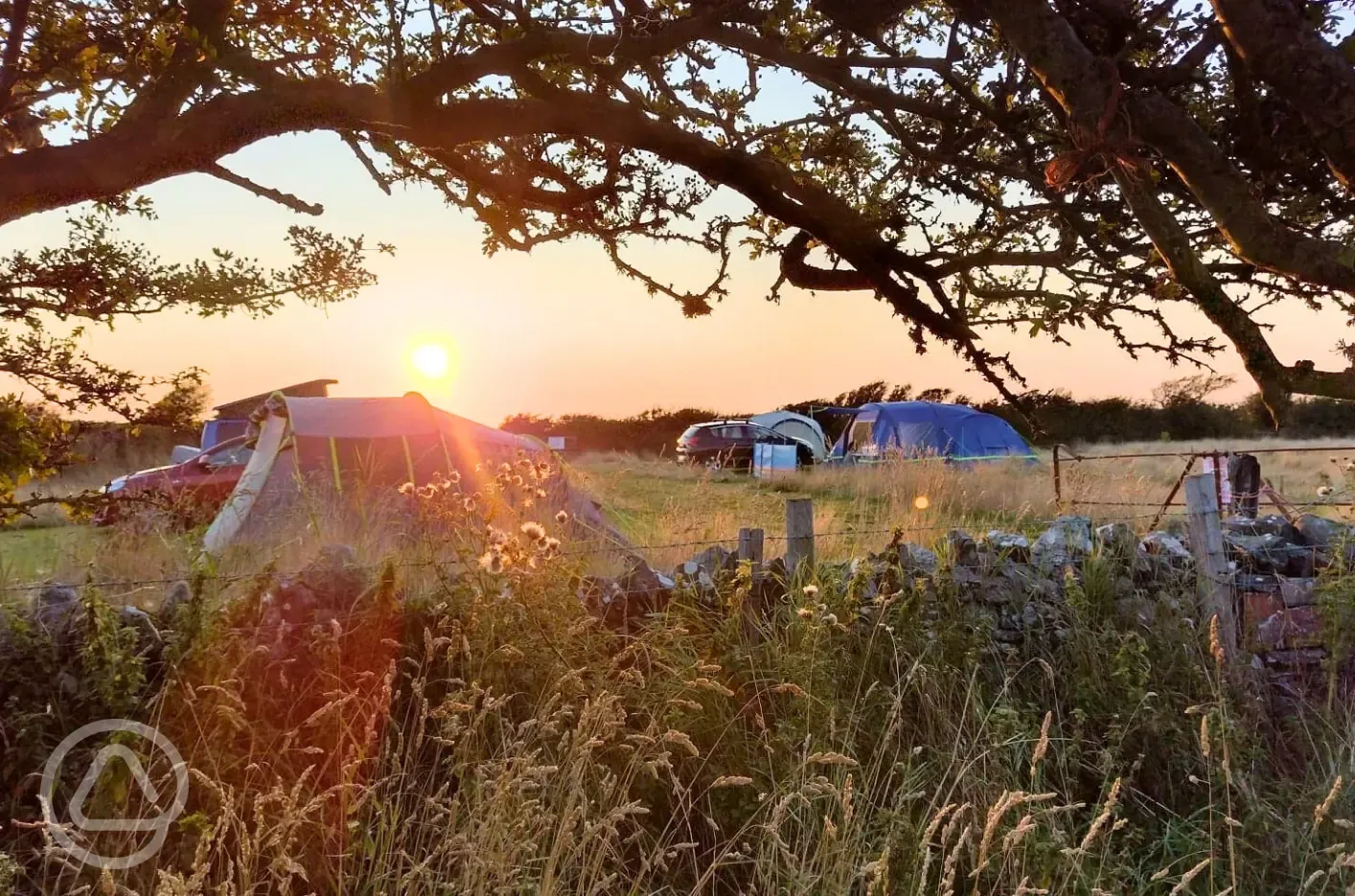 Non electric grass tent pitches at sunset