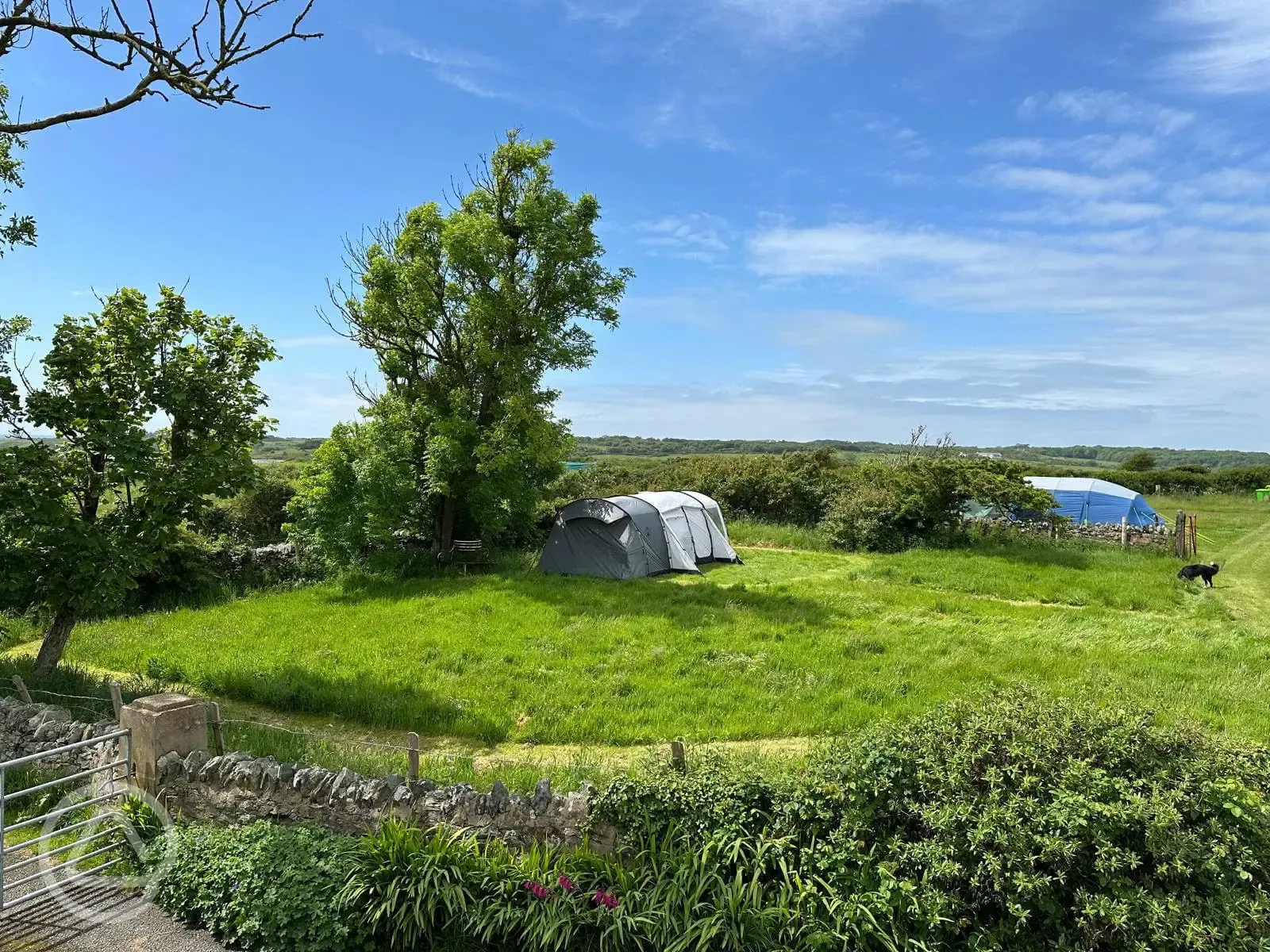 Non electric grass tent pitches