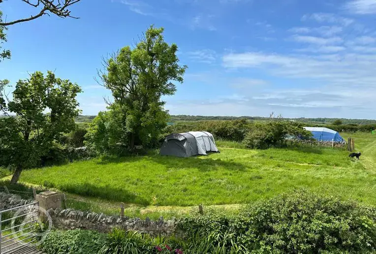 Non electric grass tent pitches