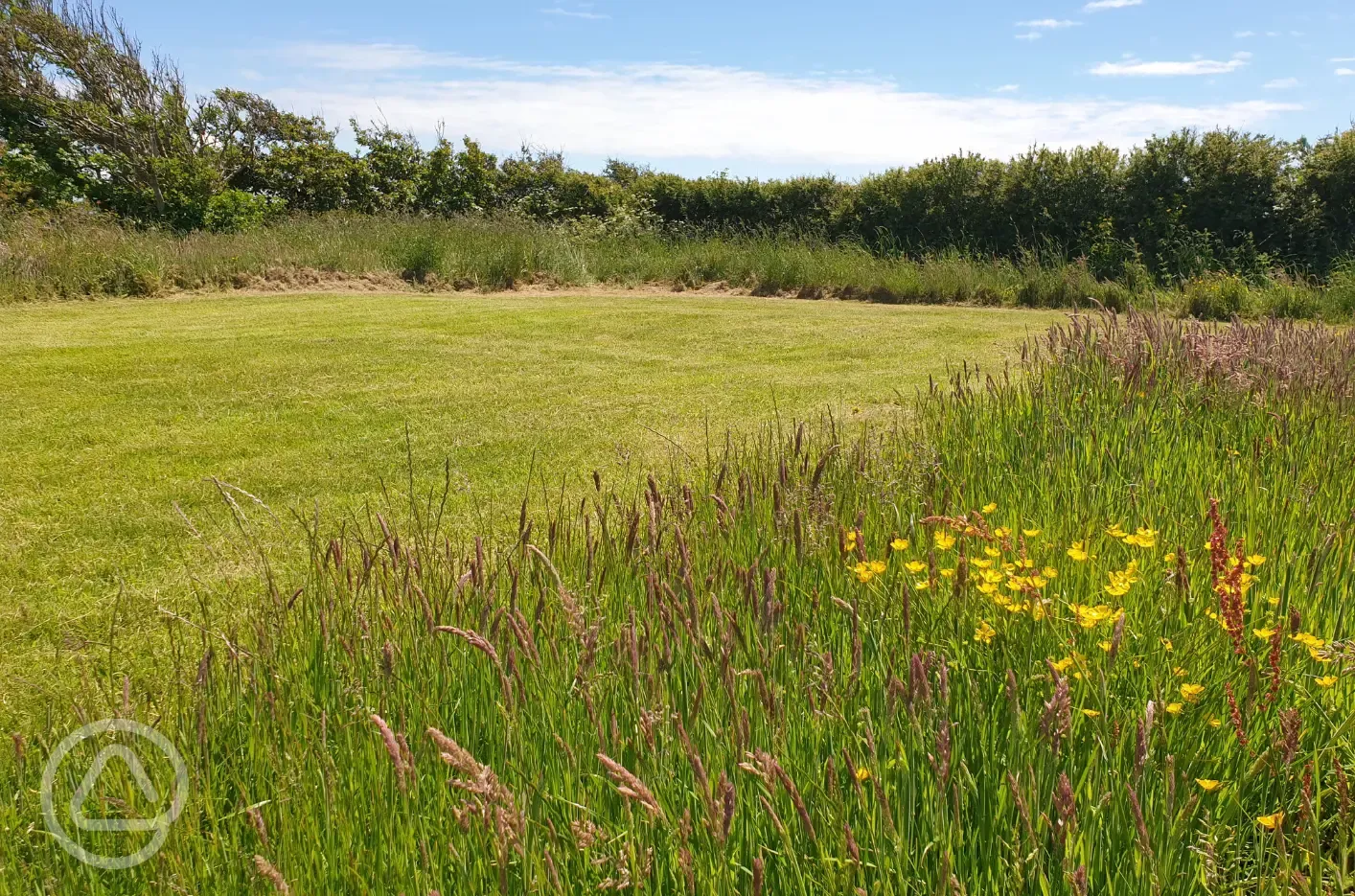 Non electric grass tent pitches