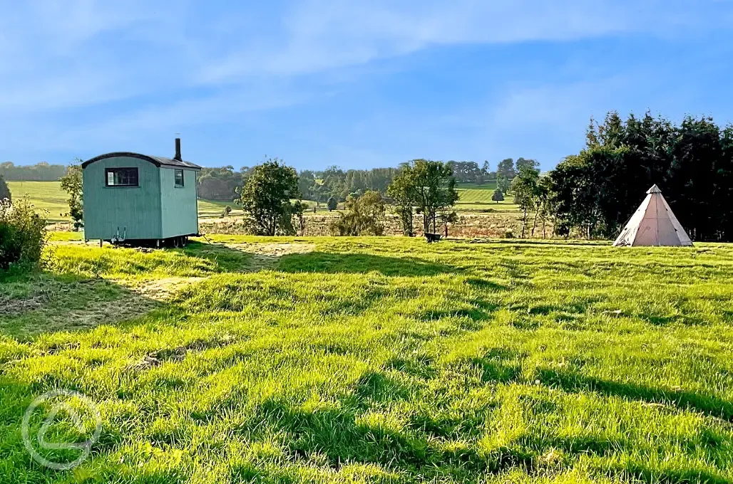 Camping and glamping field
