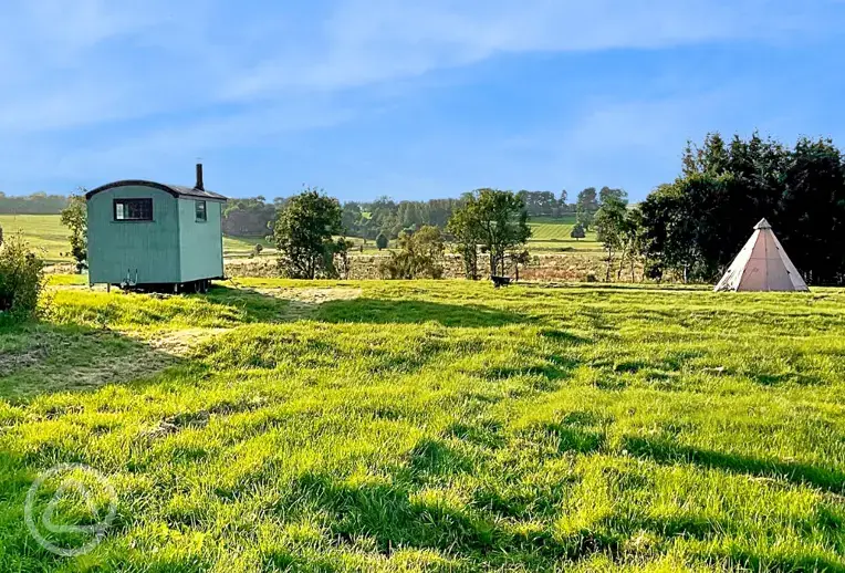 Camping and glamping field