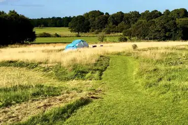 Non electric grass tent pitches
