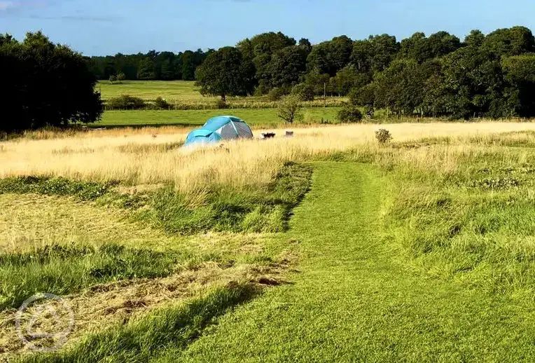 Non electric grass tent pitches