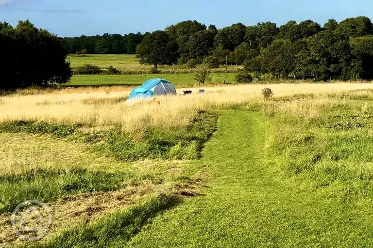 Non electric grass tent pitches