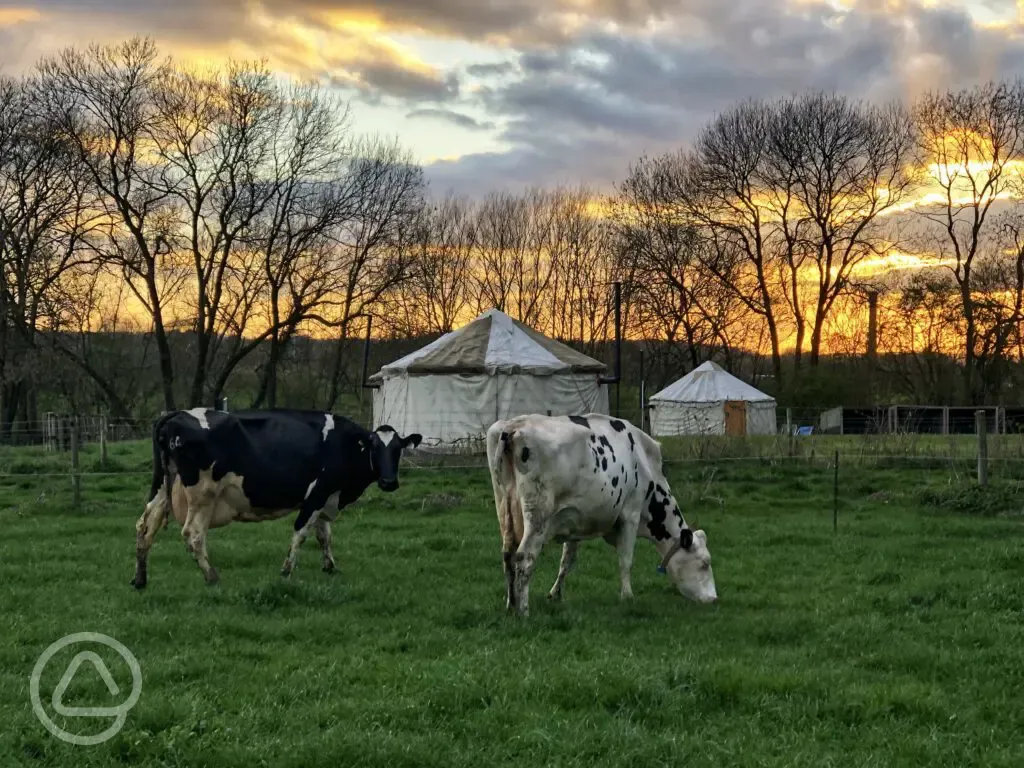 Site at sunset