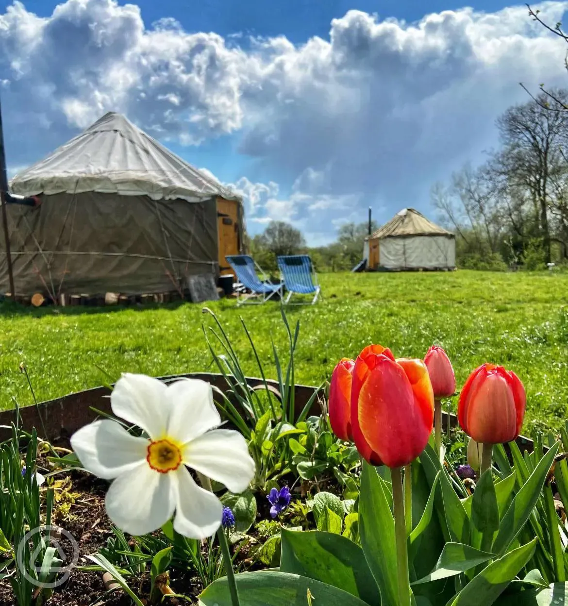 Yurt and well manicured grounds