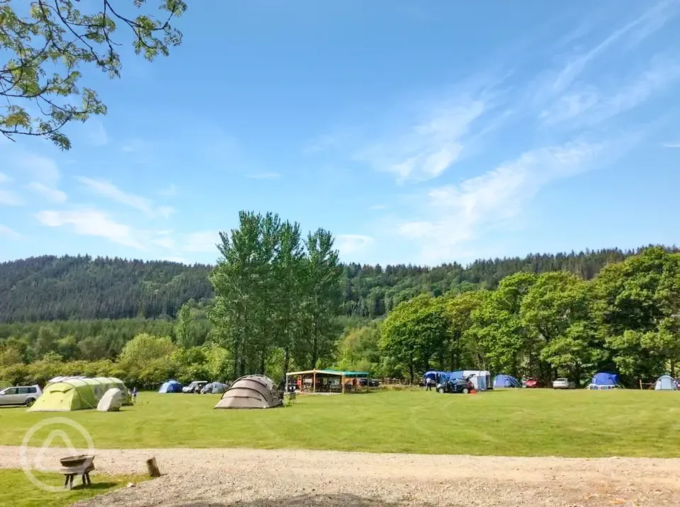 Tent only grass pitches at Kestrel Lodge Campsite