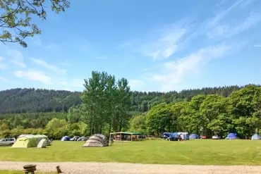 Tent only grass pitches at Kestrel Lodge Campsite