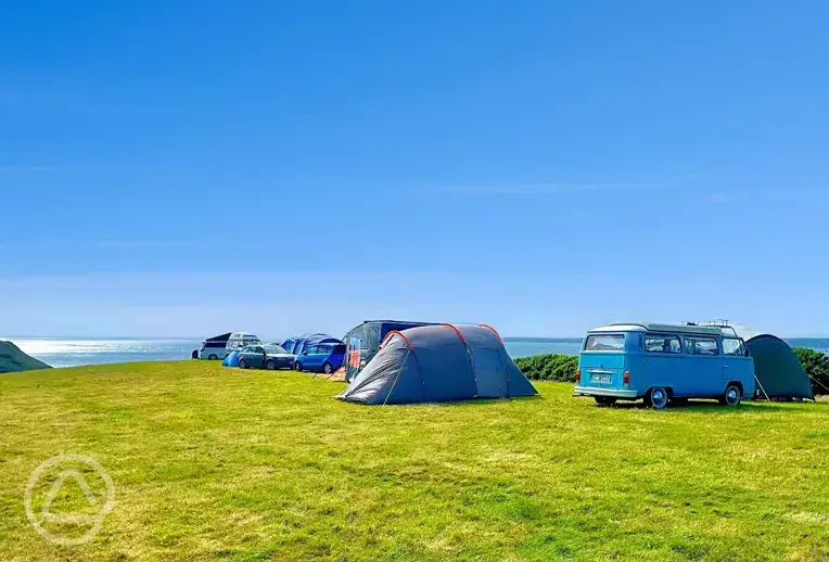 Non electric grass pitches