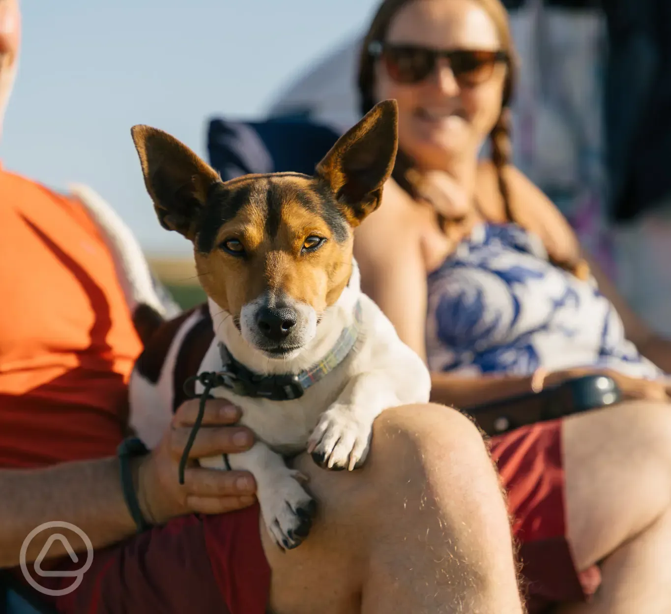 Dog friendly 