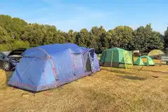 Non electric grass tent pitches at Hill Farm Camping