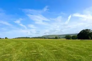 Woodfire at Chapel Field, Firle, East Sussex