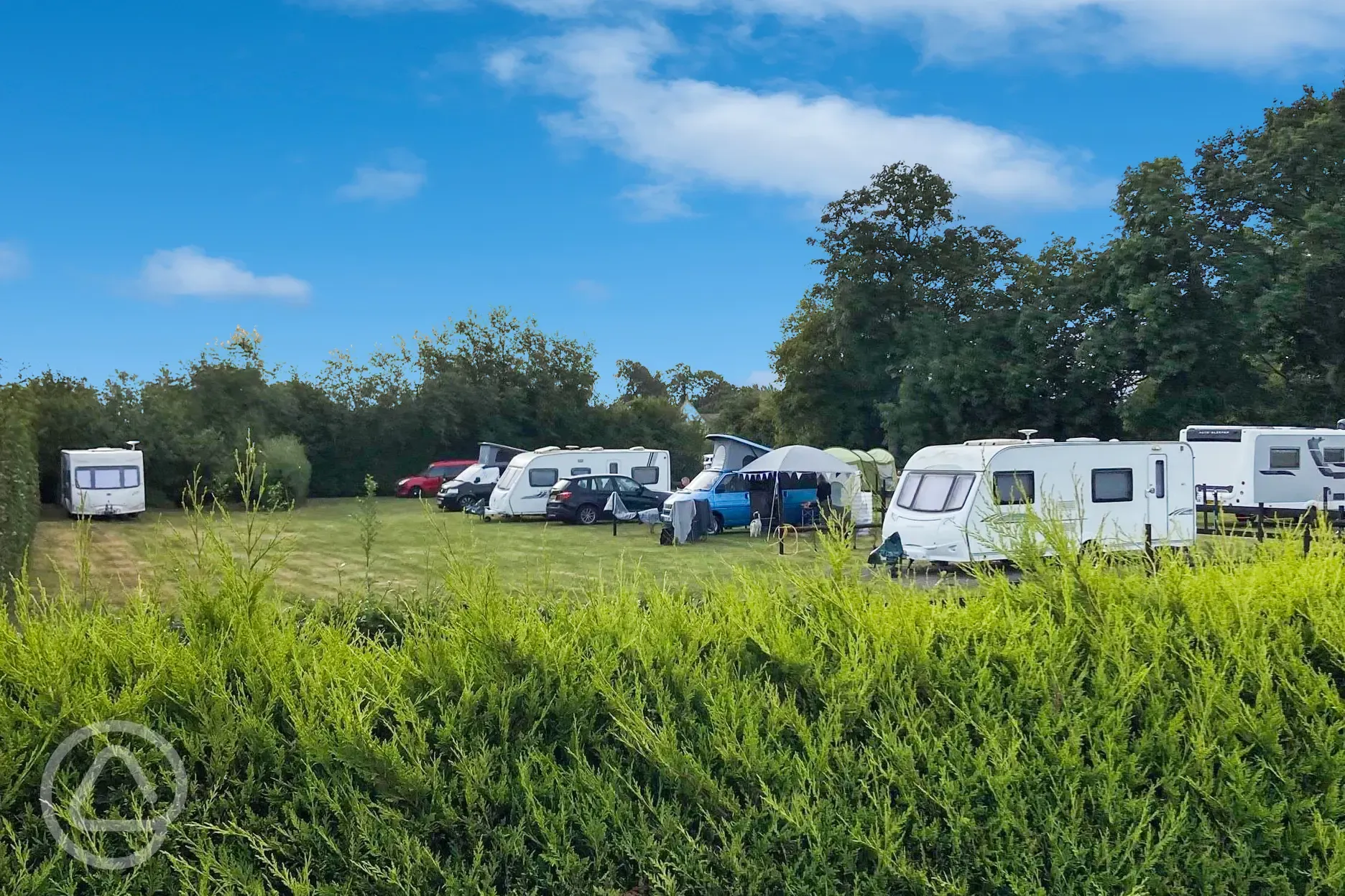 Grass pitches