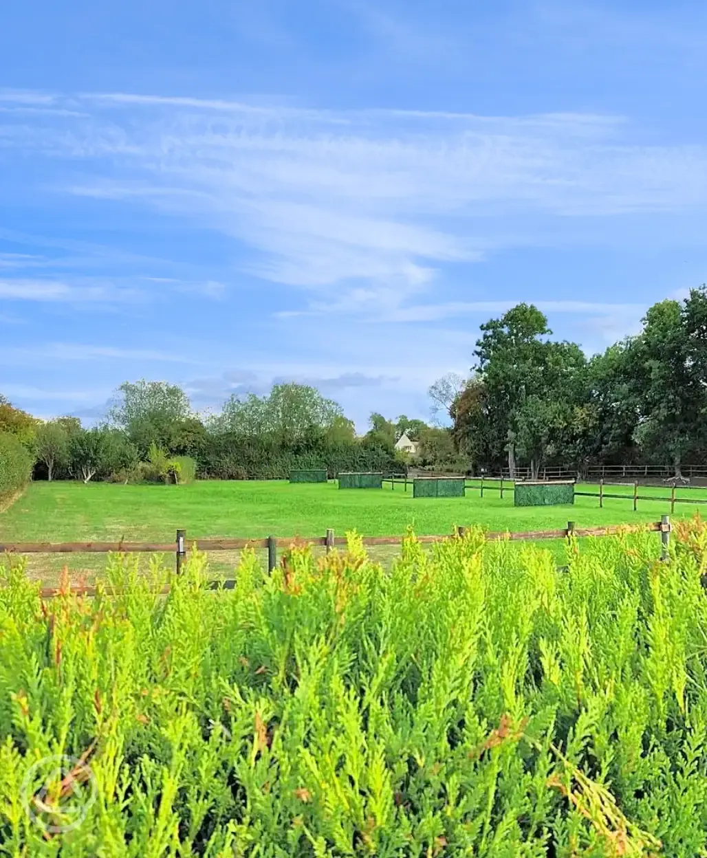 Grass pitches