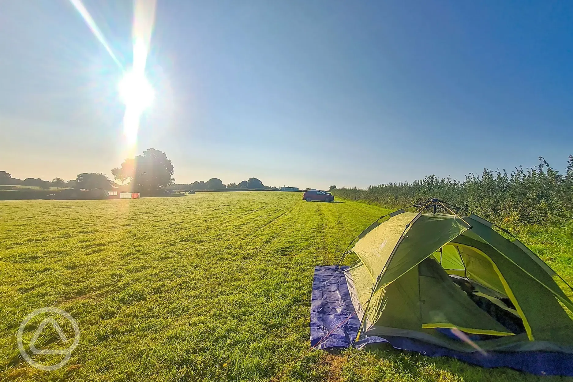 Grass pitches