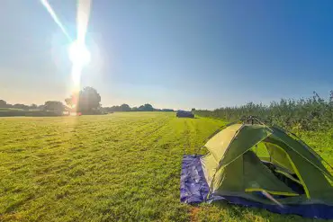 Non electric grass pitches in the main field at Stretton House Campsite