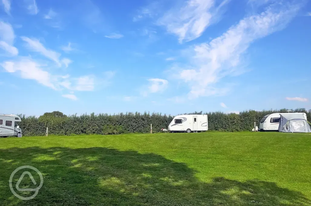 Electric grass pitches