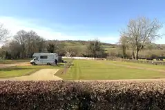 Grass electric pitches with hedge dividers