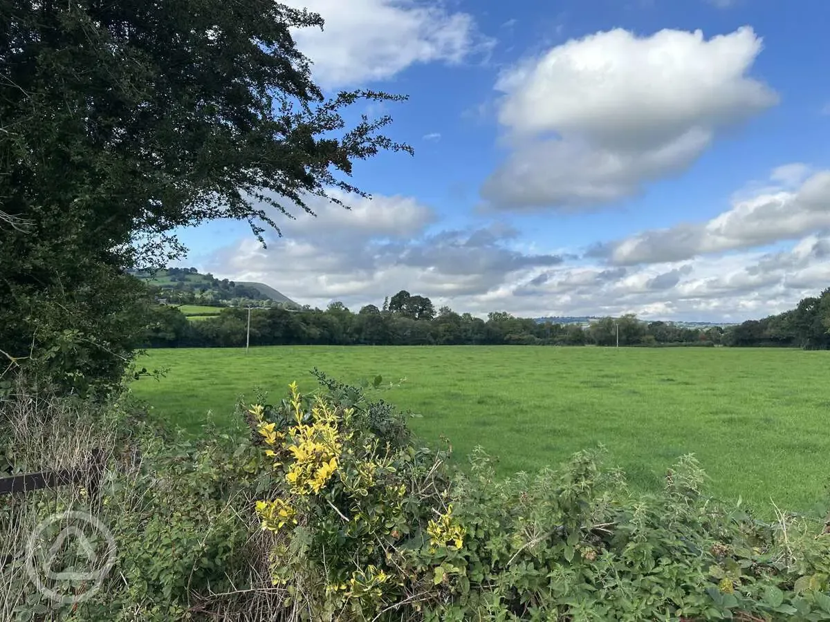 Electric grass pitches