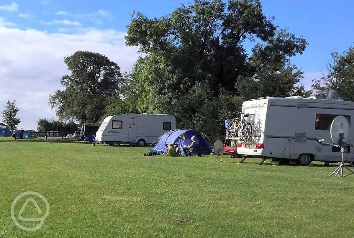 Electric grass pitches
