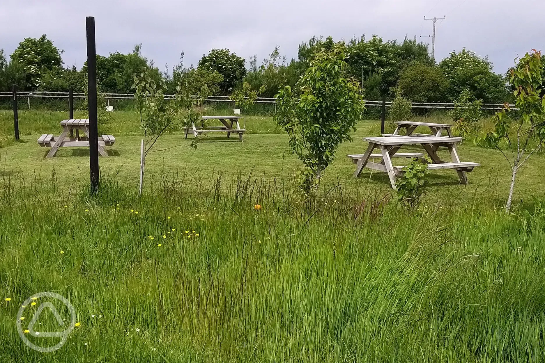 Central shared area and wild flowers