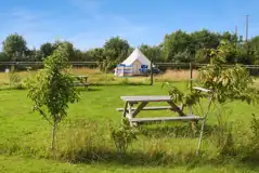 Non electric grass pitches and communal seating area Non electric grass pitches and communal seating area