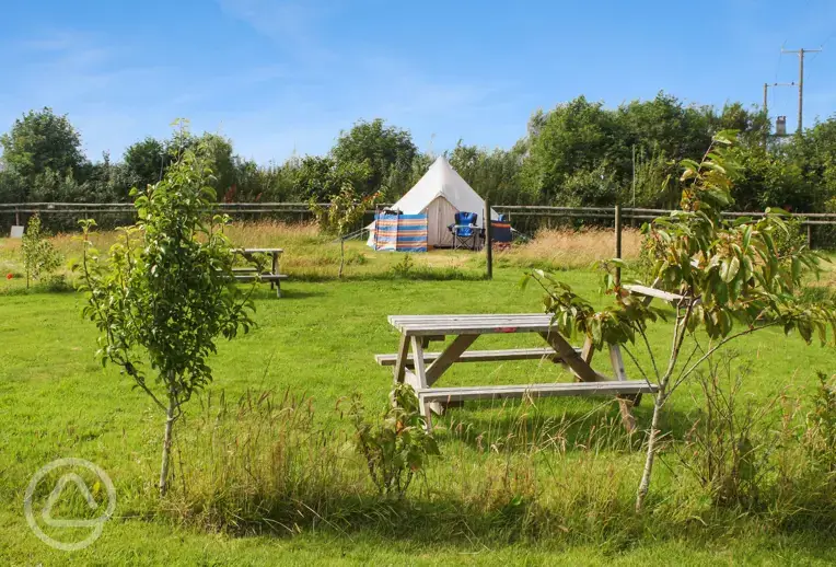 Non electric grass pitches and communal seating area