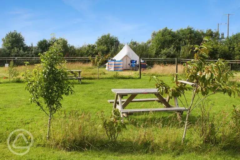 Non electric grass pitches and communal seating area