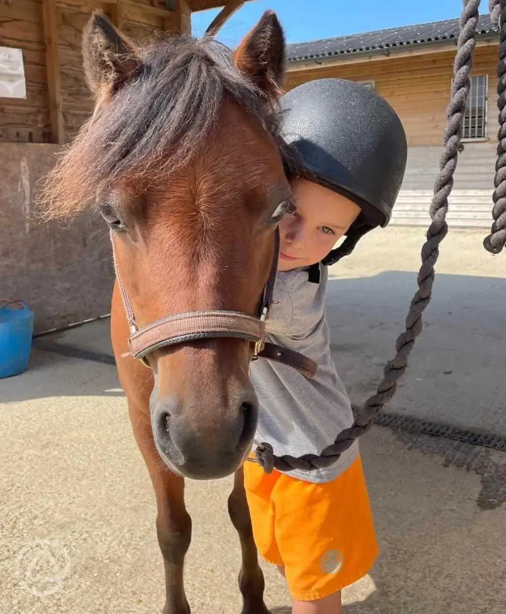 Horse riding onsite