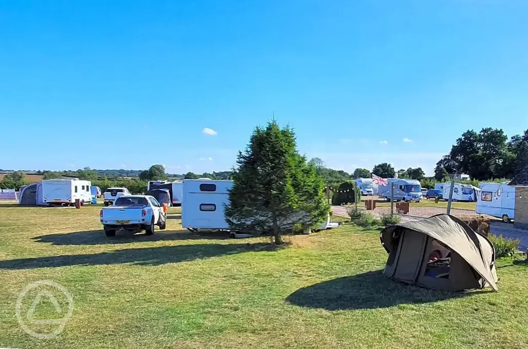 Electric grass tent pitches