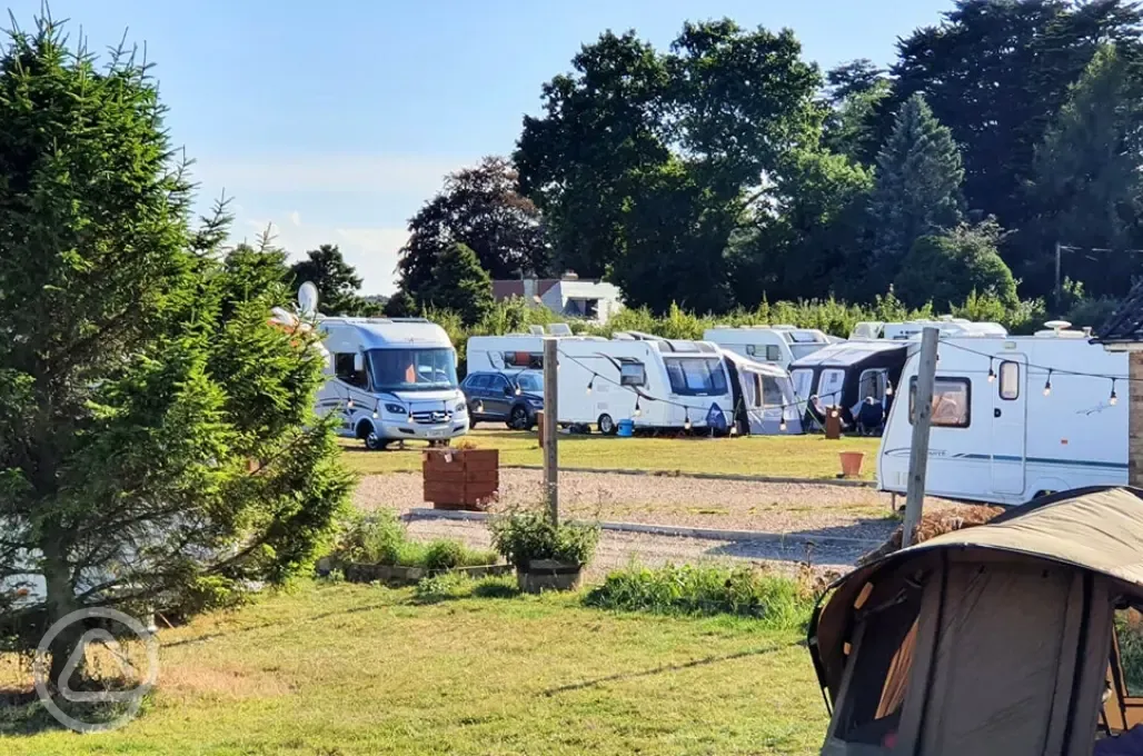 Electric grass tent pitches